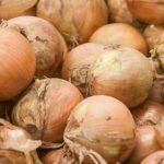 Prečo je potrebné cibuľu pred smažením namočiť do múky: trik zo zabudnutých kuchárskych kníh preco-je-potrebne-cibulu-pred-smazenim-namocit-do-muky-trik.jpg